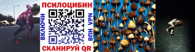 Псилоцибиновые грибы мицелий  Купить закладки  Волхов 