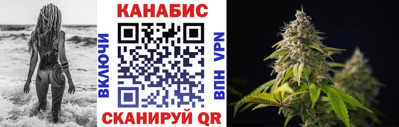 Купить закладки  Волхов  Бошки марихуана гибрид 